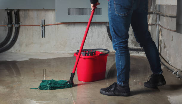 Best Water damage restoration near me  in North Highlands, CA