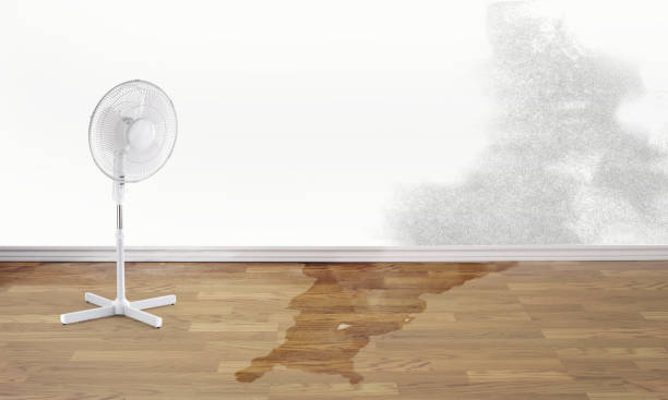 Best Flood damage cleanup  in North Highlands, CA