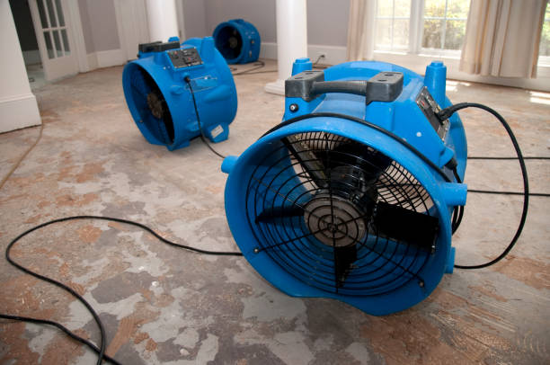 Best Water damage contractors near me  in North Highlands, CA