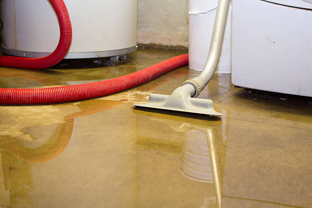 Best Mold removal after water damage  in North Highlands, CA