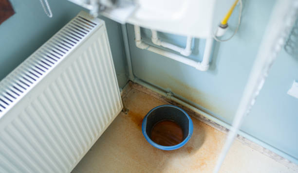 Best Carpet water damage restoration  in North Highlands, CA