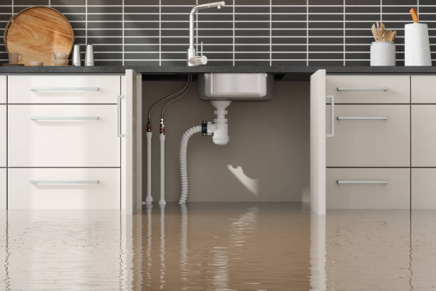 Best Local water damage restoration  in North Highlands, CA