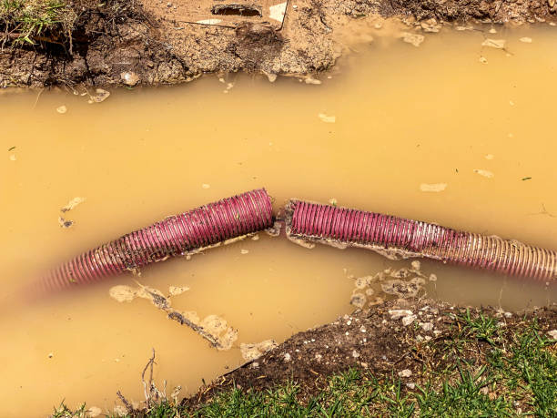 Best 24-hour water damage restoration  in North Highlands, CA