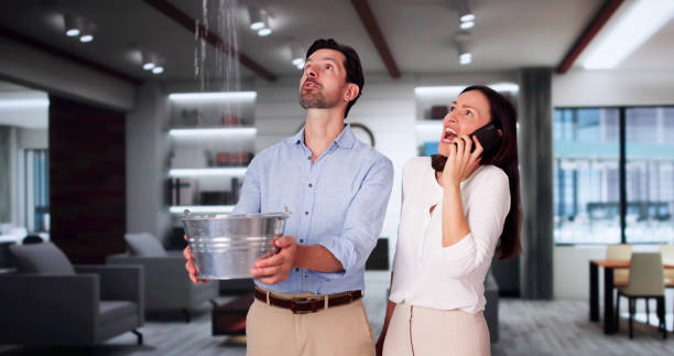 Best Flooded house restoration  in North Highlands, CA