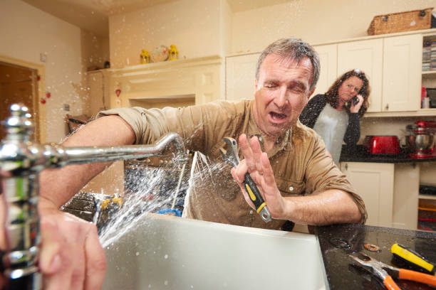 Best Water damage cleanup near me  in North Highlands, CA